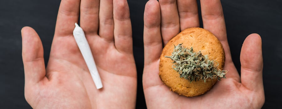 edibles weed edibles weed
