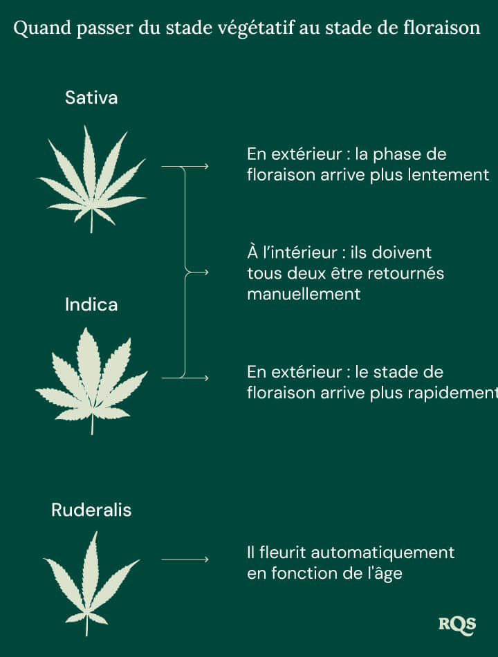 Switch ve to flowering Switch ve to flowering