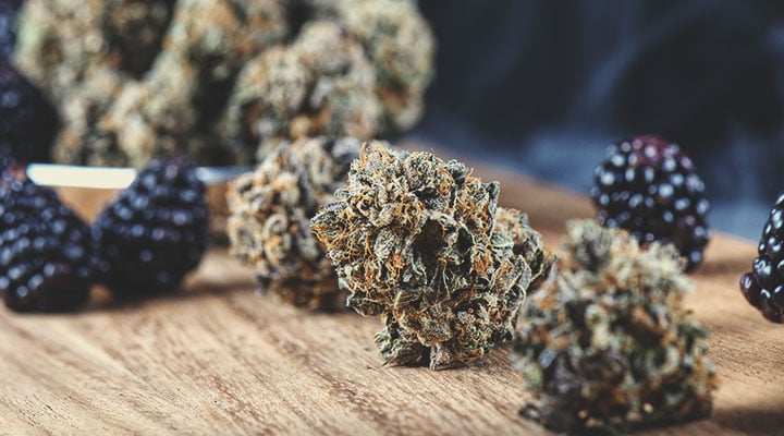 Guide sur les effets et les goûts des variétés de cannabis Guide sur les effets et les goûts des variétés de cannabis