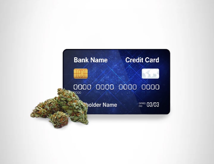 CARTE BLEUE CARTE BLEUE