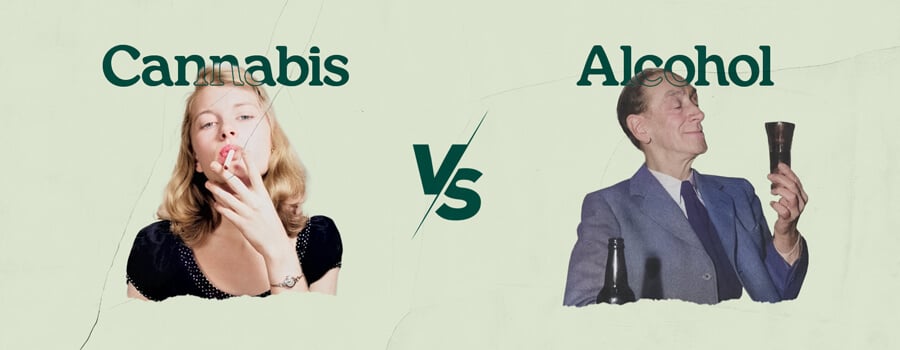 Cannabis vs Alcohol Cannabis vs Alcohol