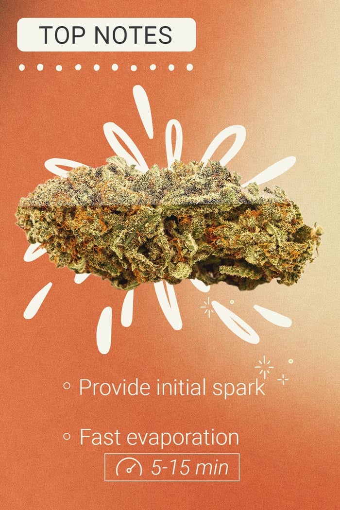 Top Notes Cannabis Top Notes Cannabis